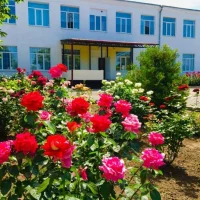 МБОУ Богородицкая СОШ № 20