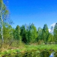 Администрация Кабинетного сельсовета Чулымского района