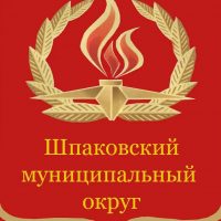 Центр ВП ВМ Шпаковского муниципального округа