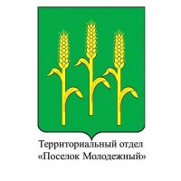 ТЕРРИТОРИАЛЬНЫЙ ОТДЕЛ "ПОСЕЛОК МОЛОДЕЖНЫЙ"