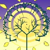 Школа Сотворчества (МАОУ СОШ No 70 города Тюмени)