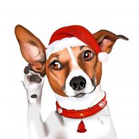 Джек Рассел терьер