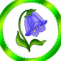 МБДОУ ДС № 38 "Колокольчик" г.Светлоград