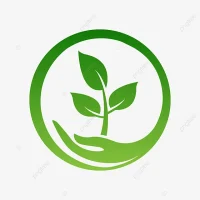 МБДОУ №43 г.Шахты