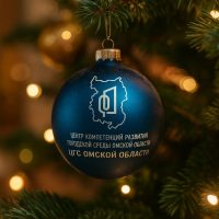 Центр городской среды Омской области