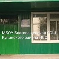 МБОУ Благовещенская СОШ Купинского района НСО