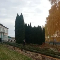 МБОУ «Карловская основная общеобразовательная школа»