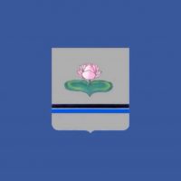 Администрация Николаевского городского поселения