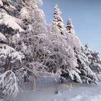 Администрация сельского поселения "Окунев Нос"