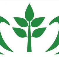 МБУ ДО "ЦППМСП "ПОМОЩЬ" Г.О. САМАРА