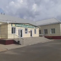 МБОУ "Борисовская НОШ имени Кирова"