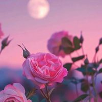 МБДОУ №33 "Аленький цветочек" г.Бугульма РТ