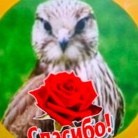 МКДОУ Урминский детский сад "Орленок"