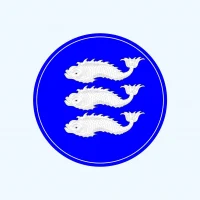 Муниципальный совет МО Васильевский