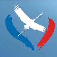 Канал МАОУ СОШ № 85 "Журавушка"