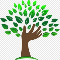 Детский сад "Липка" села Ильино