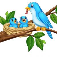 МБДОУ "Новониколаевский детский сад " Гнездышко"