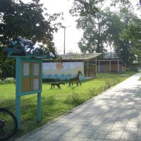 МБДОУ «Детский сад комбинированного вида 11»