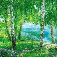 ГКДОУ "ДЕТСКИЙ САД № 15 "БЕРЁЗКА" Г.О.ЕНАКИЕВО" ДНР