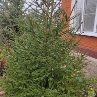 Канал  МБДОУ Подгорненский д/с "Колокольчик"