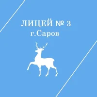 Лицей № 3 города Сарова