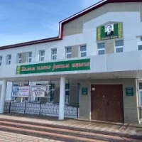 МБОУ "Новотинчалинская ООШ имени Н.Г.Фаизова БМР РТ"