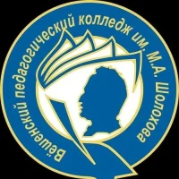 ГБПОУ РО "ВПК им. М. А. Шолохова"