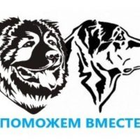 Поможем вместе 39