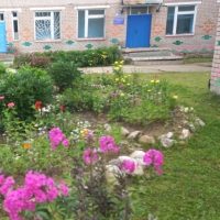 МДОКУ Д/С "Лесная сказка"