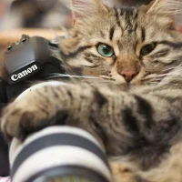 Живой Уголок