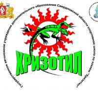 ГАУ ДО СО СШ по хоккею «Хризотил»