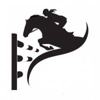 ГБУ ДО КО "СШОР по конному спорту"