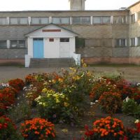 МОБУ "Красноусовская сош" Тюкалинский МР