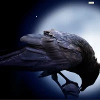 Интересное