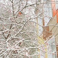 БУ СО ВО «ВЦПД (специализированный)»