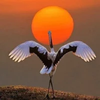 МБДОУ ДС № 33 "ЖУРАВЛИК" г. ТУАПСЕ