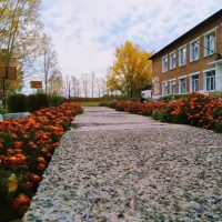 МБОУ "Переясловская ООШ № 9"