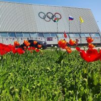 МБУ ДО ДЮСШ п.Волоконовка