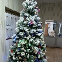 ГБУ "Аксубаевское РГВО"