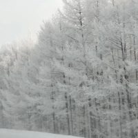 Муниципальное общеобразовательное учреждение Усть-Теленгуйская средняя общеобразовательная школа