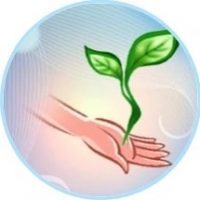 МАДОУ «ЦРР - детский сад №137» г.Перми