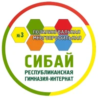 ГБОУ РПМГИ № 3 "Сибай"