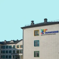 Гармония_МБОУ_Многопрофильный Лицей