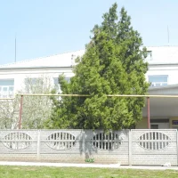 МБОУ СОШ № 62 имени Е. И. Игнатенко с. Новый Егорлык