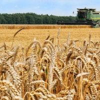 Управление сельского хозяйства Полтавского района Омской области