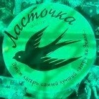 МАУ ДОЛ ЛАСТОЧКА