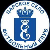 Спортивная школа по футболу Пушкинского района