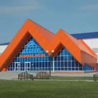 Муниципальное автономное учреждение "Ледовая арена"