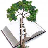 МКОУ "Специальная школа № 64"