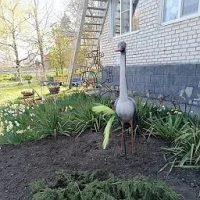 Публичный канал МБДОУ "Детский сад 9 "Журавлик"ст.Марьинской